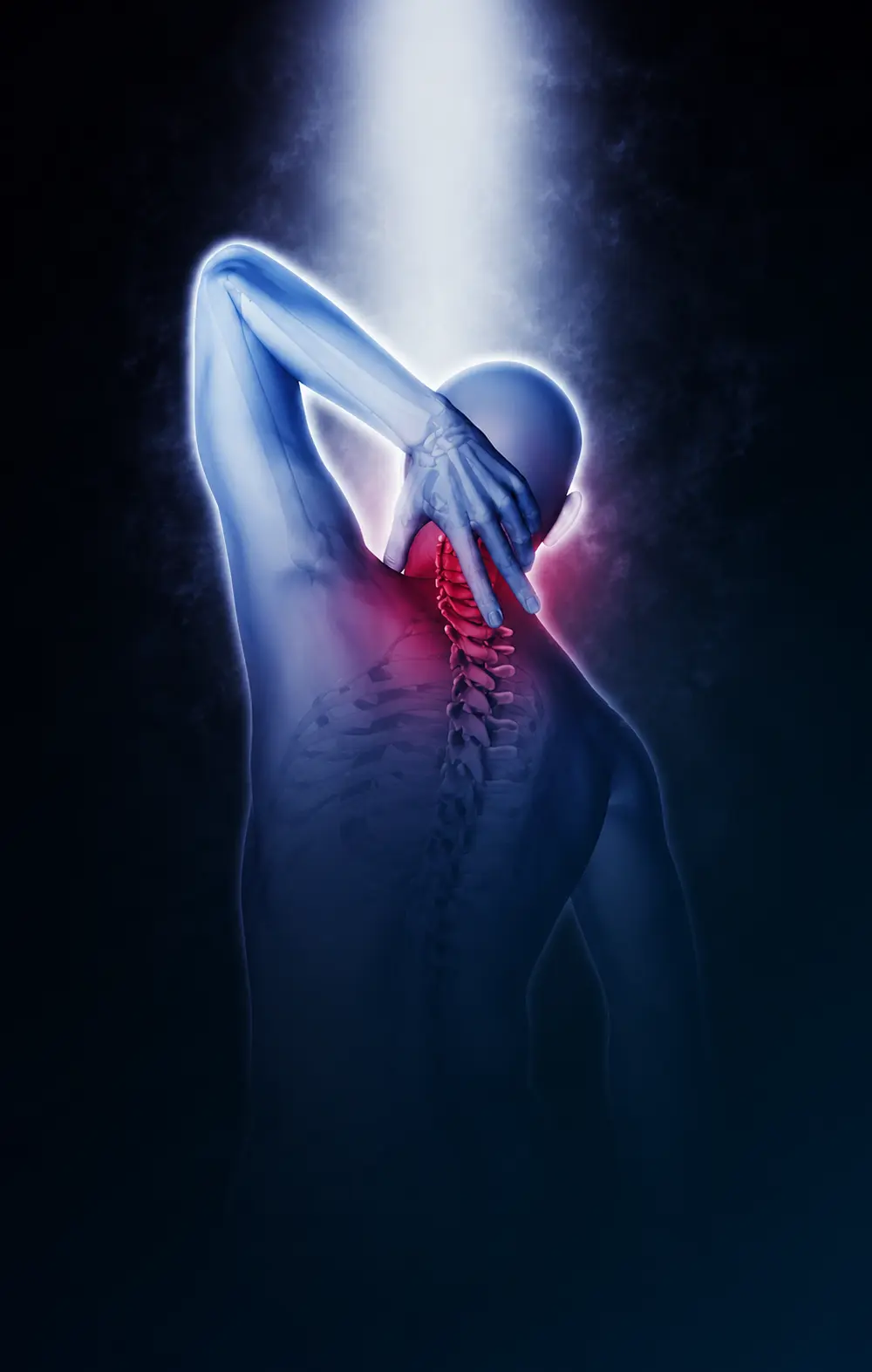 Diagram depicting the spine's intricate anatomy, including bones, ligaments, and muscles private physiotherapist Coventry