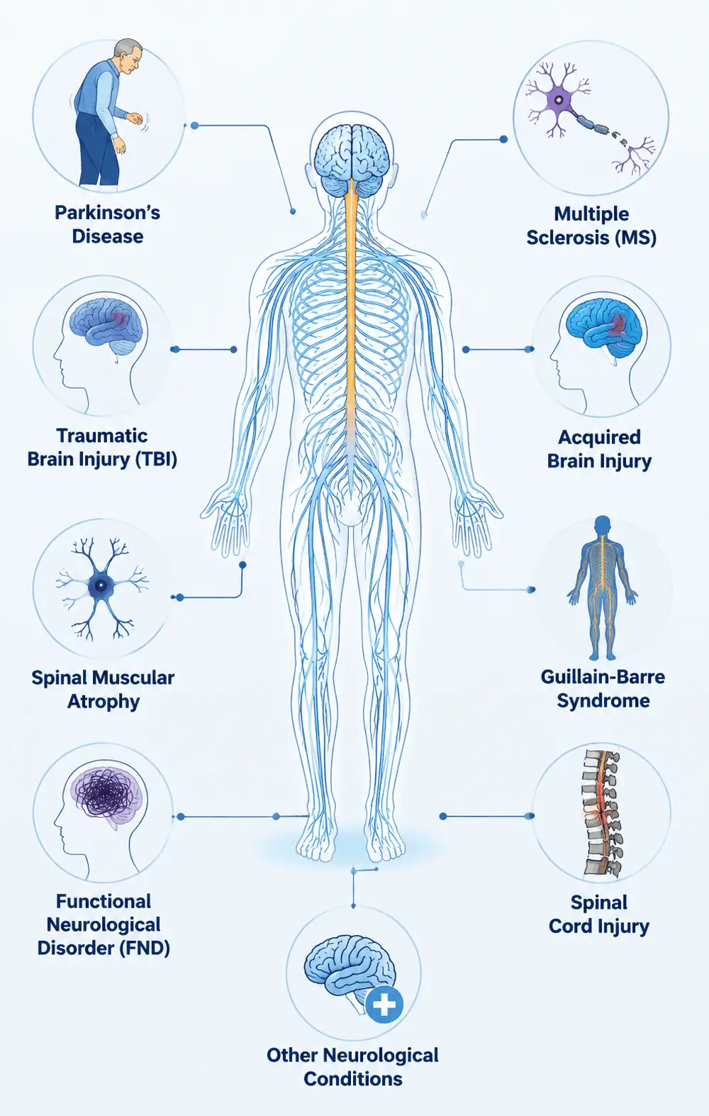 Diagram illustrating the human nervous system and its various functions, highlighting key components and connections shockwave therapy providers near me